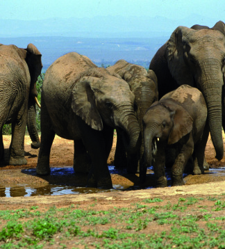 Garden Route & Lesotho - Camping oder Lodge erlebnisreisen